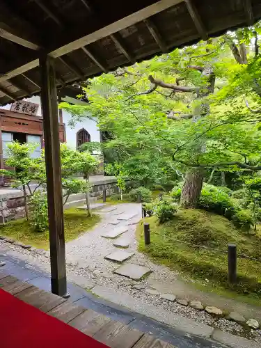 圓光寺(京都府)