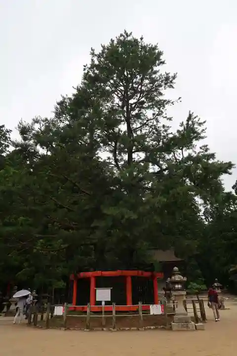 壇上伽藍(和歌山県)