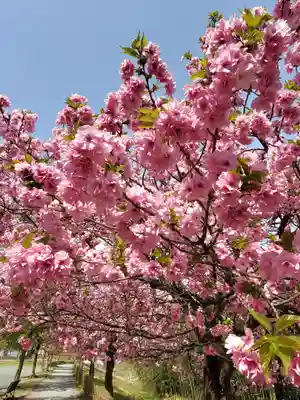 滑川神社 - 仕事と子どもの守り神(福島県)