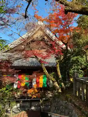 禅林寺（永観堂）の{uncategorized: "未分類", other: "その他", undefined: "問題あり", building: "その他建物", grave: "お墓", sacred_gate: "鳥居", guardian: "狛犬", statue: "像", buddha: "仏像", history: "歴史", nature: "自然", garden: "庭園", animal: "動物", pagoda: "塔", temizu: "手水舎", mountain_gate: "山門・神門", sanctuary: "本殿・本堂", subordinate: "末社・摂社", art: "芸術", scenery: "景色", jizo: "地蔵", ema: "絵馬", goshuin: "御朱印", omikuji: "おみくじ", items: "授与品その他", amulet: "お守り", goshuincho: "御朱印帳", eats: "食事", festival: "お祭り", votive_dance: "神楽", shichigosan: "七五三参", wedding: "結婚式", experience: "体験その他", initially: "初詣", around: "周辺", anti_infection: "感染症対策"}