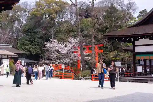 賀茂御祖神社（下鴨神社）(京都府)