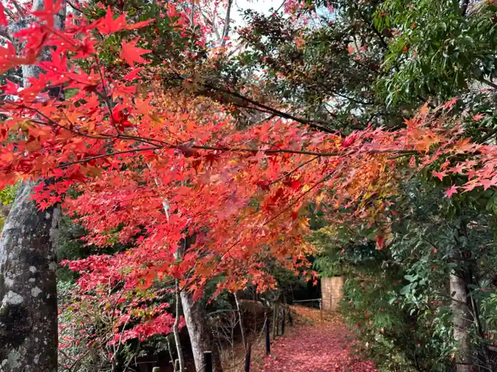 鍬山神社の自然