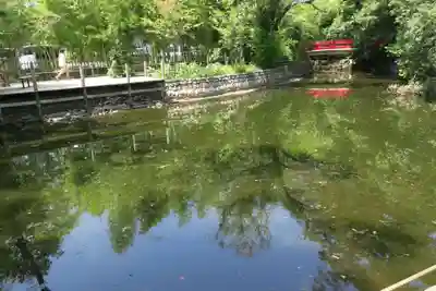 武蔵一宮氷川神社(埼玉県)