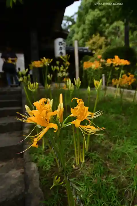 横浜 西方寺(神奈川県)