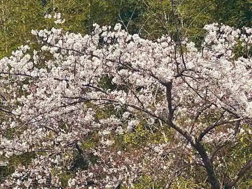 伊勢の国 四天王寺(三重県)