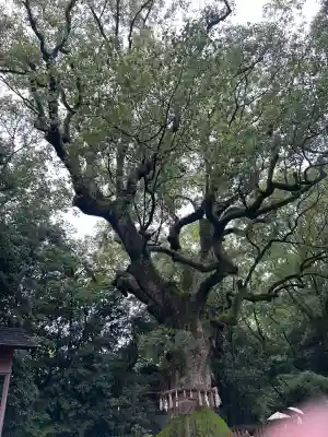 熱田神宮(愛知県)