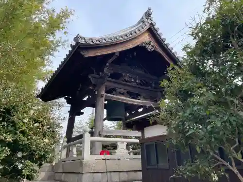 専光寺の{uncategorized: "未分類", other: "その他", undefined: "問題あり", building: "その他建物", grave: "お墓", sacred_gate: "鳥居", guardian: "狛犬", statue: "像", buddha: "仏像", history: "歴史", nature: "自然", garden: "庭園", animal: "動物", pagoda: "塔", temizu: "手水舎", mountain_gate: "山門・神門", sanctuary: "本殿・本堂", subordinate: "末社・摂社", art: "芸術", scenery: "景色", jizo: "地蔵", ema: "絵馬", goshuin: "御朱印", omikuji: "おみくじ", items: "授与品その他", amulet: "お守り", goshuincho: "御朱印帳", eats: "食事", festival: "お祭り", votive_dance: "神楽", shichigosan: "七五三参", wedding: "結婚式", experience: "体験その他", initially: "初詣", around: "周辺", anti_infection: "感染症対策"}