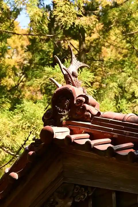 三所神社(桑の川の大杉)(高知県)