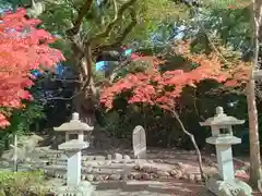 壺井八幡宮(大阪府)