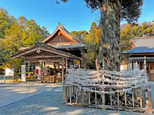 井伊谷宮の本殿・本堂