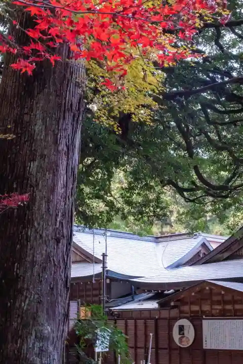 小國神社(静岡県)