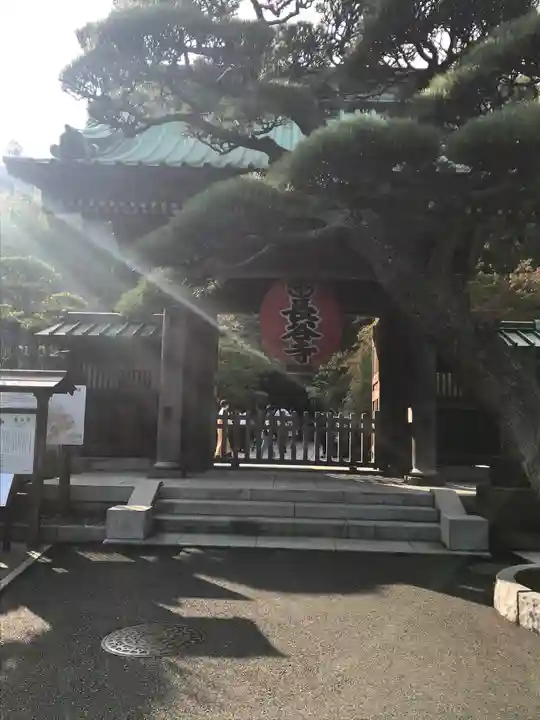 長谷寺の山門・神門
