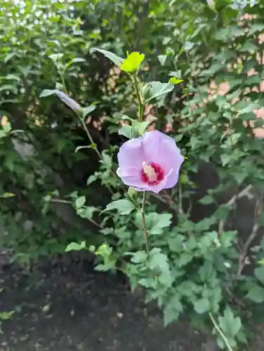 西林寺(京都府)