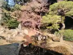 大善寺の庭園