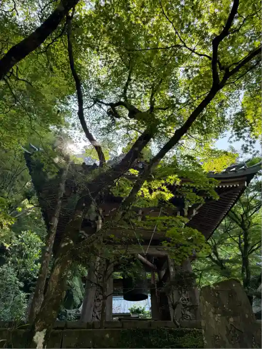 最乗寺(道了尊)(神奈川県)