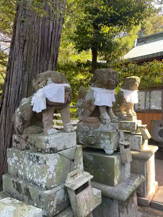 椎宮八幡神社(徳島県)