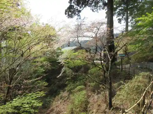 太龍寺(徳島県)