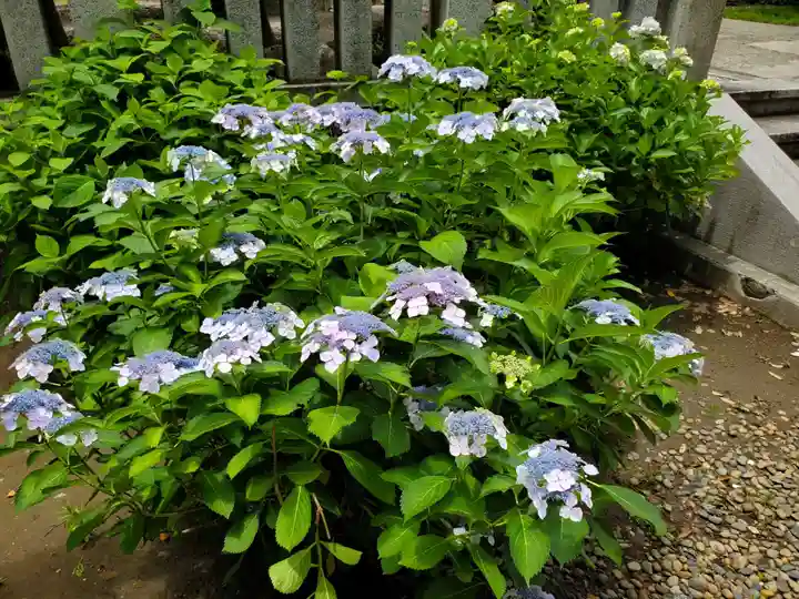 千住神社(東京都)