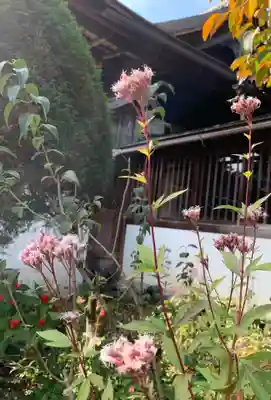 正伝護国禅寺(正伝寺･正傳寺)(京都府)