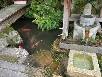 観音正寺の{uncategorized: "未分類", other: "その他", undefined: "問題あり", building: "その他建物", grave: "お墓", sacred_gate: "鳥居", guardian: "狛犬", statue: "像", buddha: "仏像", history: "歴史", nature: "自然", garden: "庭園", animal: "動物", pagoda: "塔", temizu: "手水舎", mountain_gate: "山門・神門", sanctuary: "本殿・本堂", subordinate: "末社・摂社", art: "芸術", scenery: "景色", jizo: "地蔵", ema: "絵馬", goshuin: "御朱印", omikuji: "おみくじ", items: "授与品その他", amulet: "お守り", goshuincho: "御朱印帳", eats: "食事", festival: "お祭り", votive_dance: "神楽", shichigosan: "七五三参", wedding: "結婚式", experience: "体験その他", initially: "初詣", around: "周辺", anti_infection: "感染症対策"}