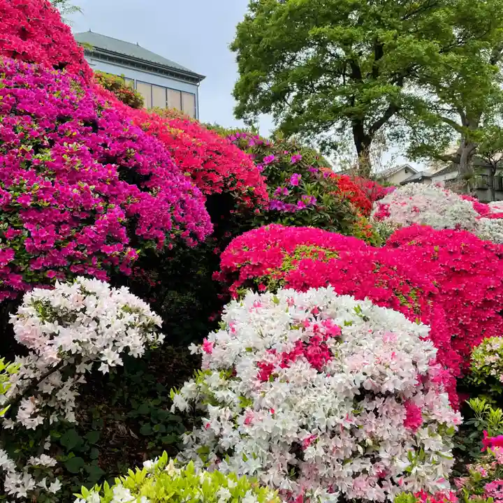 根津神社の自然