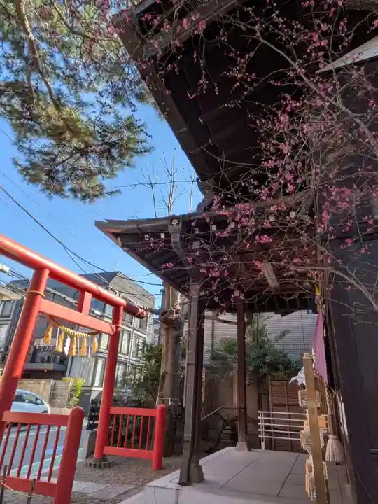 猿田彦神社(東京都)