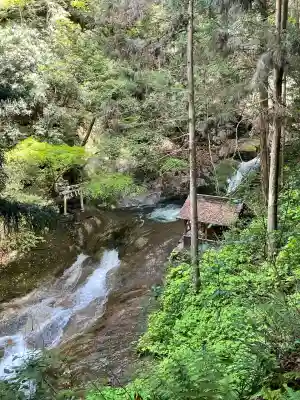 龍鎮神社(奈良県)