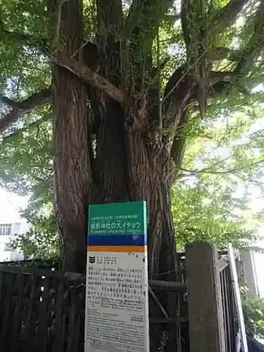 熊野大社の自然