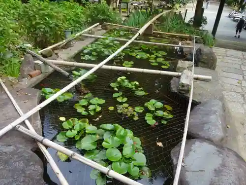 葛原岡神社の庭園