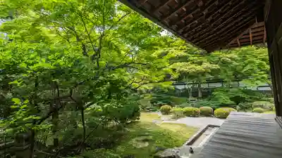御寺 泉涌寺(京都府)