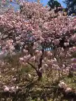 正一位 若草稲荷神社の自然