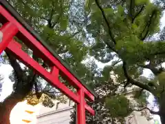 春日神社の建物その他