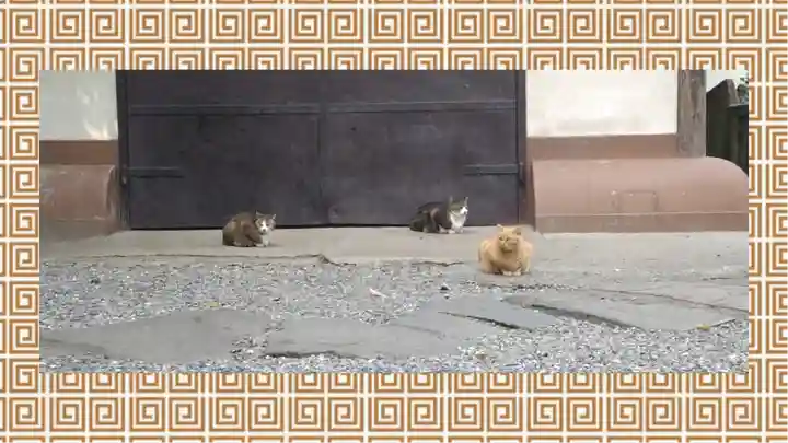 小野照崎神社(東京都)
