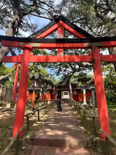 高山稲荷神社の鳥居