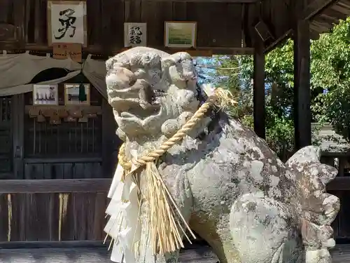 垣田神社の狛犬