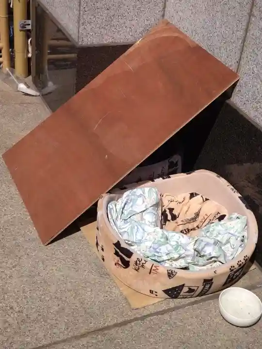 白金氷川神社の動物