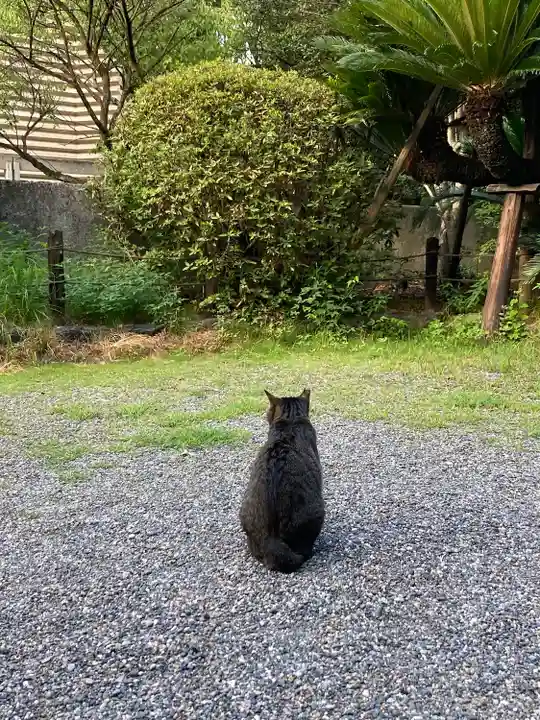 熱田神宮(愛知県)