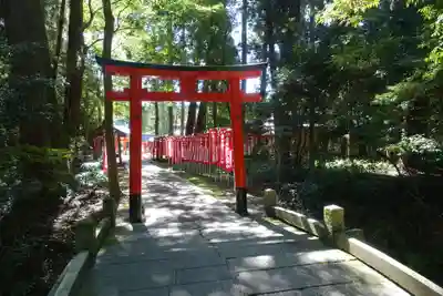 多賀大社の鳥居