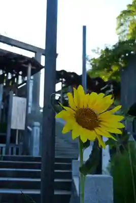 伊勢山皇大神宮(神奈川県)