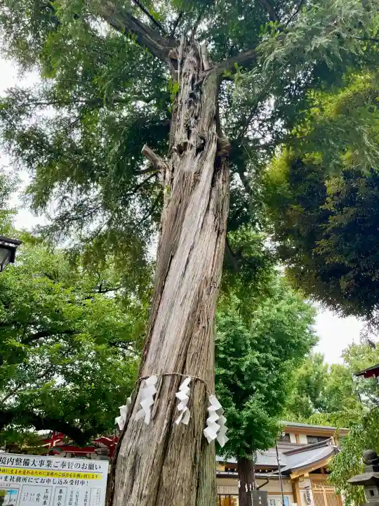 居木神社(東京都)