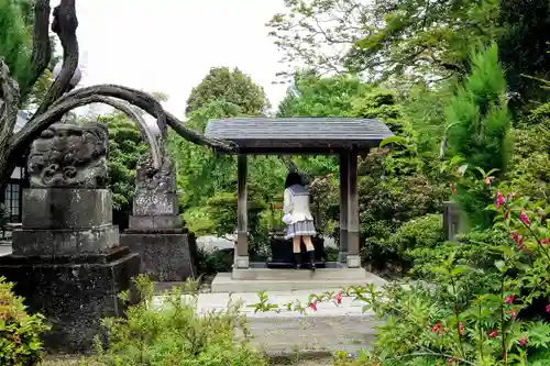 達磨寺の手水舎