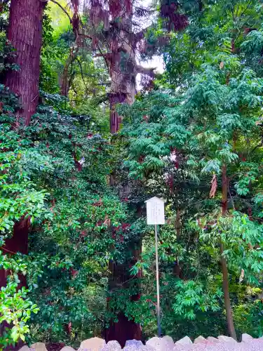 一之宮貫前神社(群馬県)