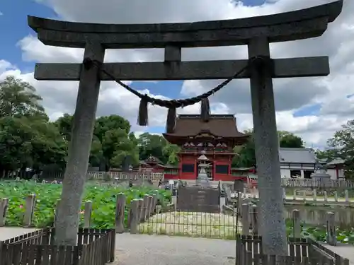 伊賀八幡宮の鳥居