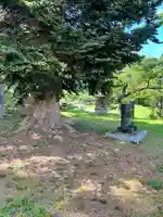 日本芸能神社(山形県)