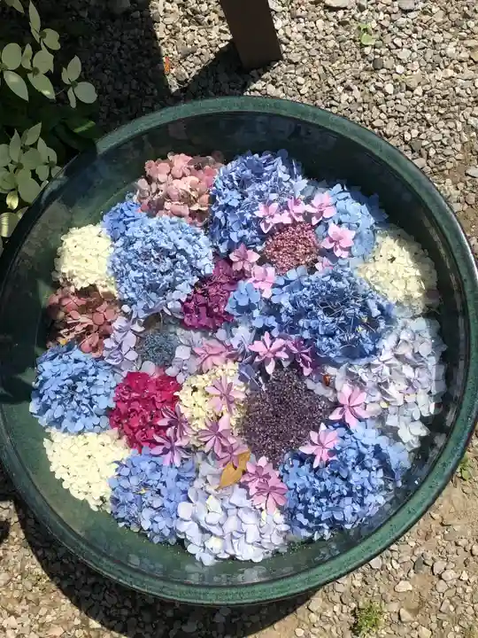 鎮守氷川神社の手水舎