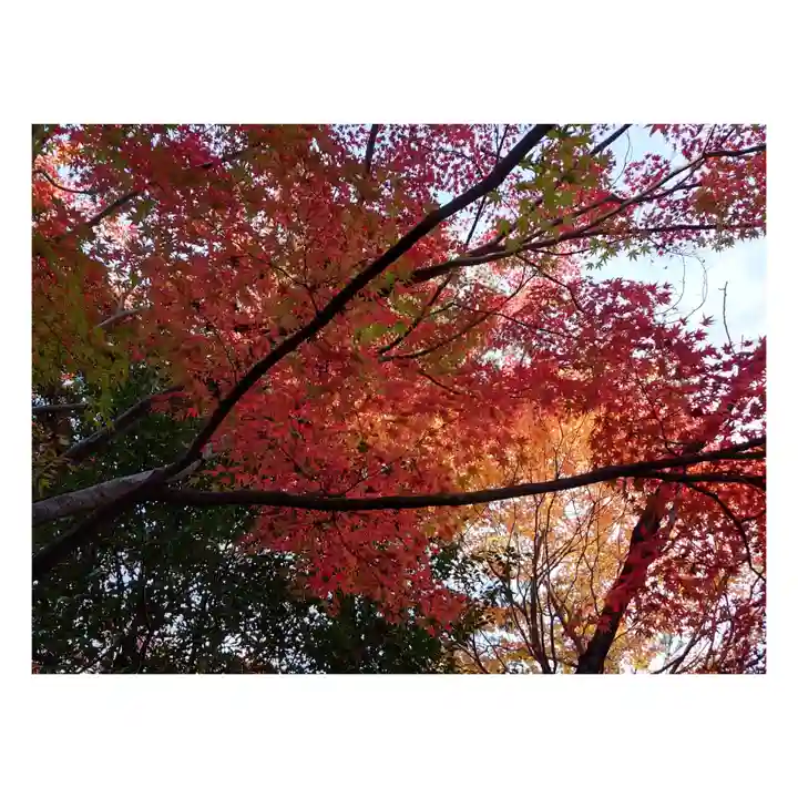 岐阜稲荷山本社(岐阜県)