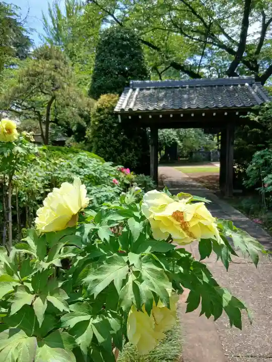 金乘院の{uncategorized: "未分類", other: "その他", undefined: "問題あり", building: "その他建物", grave: "お墓", sacred_gate: "鳥居", guardian: "狛犬", statue: "像", buddha: "仏像", history: "歴史", nature: "自然", garden: "庭園", animal: "動物", pagoda: "塔", temizu: "手水舎", mountain_gate: "山門・神門", sanctuary: "本殿・本堂", subordinate: "末社・摂社", art: "芸術", scenery: "景色", jizo: "地蔵", ema: "絵馬", goshuin: "御朱印", omikuji: "おみくじ", items: "授与品その他", amulet: "お守り", goshuincho: "御朱印帳", eats: "食事", festival: "お祭り", votive_dance: "神楽", shichigosan: "七五三参", wedding: "結婚式", experience: "体験その他", initially: "初詣", around: "周辺", anti_infection: "感染症対策"}