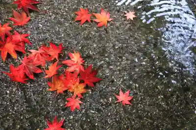 鹿島大神宮の手水舎