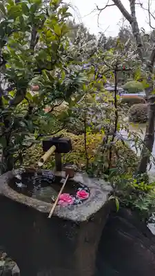 正法寺(京都府)