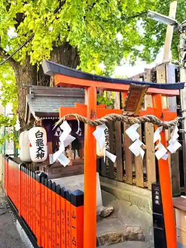 白龍大神社の本殿